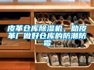 行業(yè)新聞皮革倉(cāng)庫(kù)除濕機(jī)，助皮革廠做好倉(cāng)庫(kù)的防潮防霉