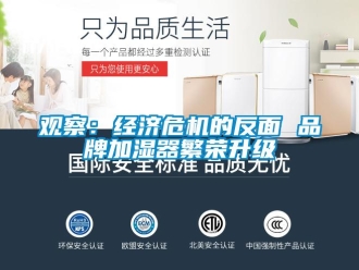 行業(yè)新聞觀察：經(jīng)濟(jì)危機(jī)的反面 品牌加濕器繁榮升級