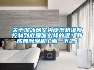 行業(yè)新聞關于溜冰場室內除濕機濕度控制到底是怎么樣的呢？和成都除濕機了解一下吧！