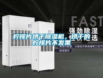 行業(yè)新聞檸檬片烘干除濕機(jī)，烘干的檸檬片不發(fā)黑