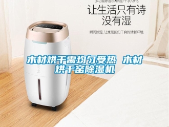 行業(yè)新聞木材烘干需均勻受熱 木材烘干窯除濕機