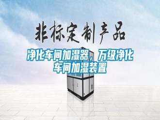 行業(yè)新聞凈化車間加濕器，萬級凈化車間加濕裝置