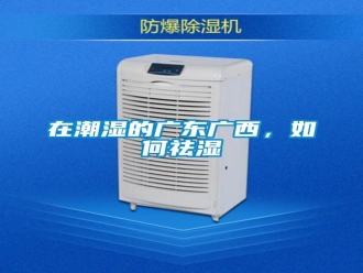 常見(jiàn)問(wèn)題在潮濕的廣東廣西，如何祛濕