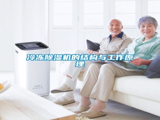 行業(yè)新聞冷凍除濕機的結(jié)構(gòu)與工作原理