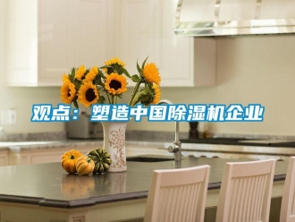 行業(yè)新聞觀點(diǎn)：塑造中國除濕機(jī)企業(yè)