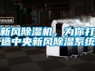 知識(shí)百科新風(fēng)除濕機(jī)，為你打造中央新風(fēng)除濕系統(tǒng)