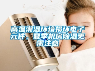 企業(yè)新聞高溫潮濕環(huán)境損壞電子元件，夏季機(jī)房除濕更需注意