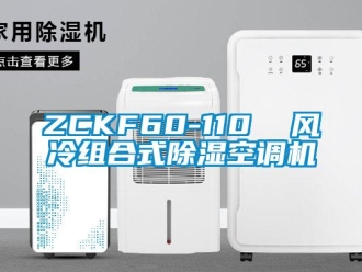 企業(yè)新聞ZCKF60-110  風冷組合式除濕空調機