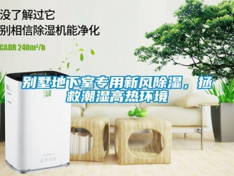 企業(yè)新聞別墅地下室專(zhuān)用新風(fēng)除濕，拯救潮濕高熱環(huán)境