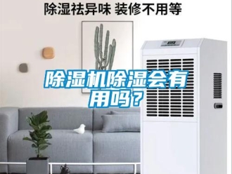 常見問題除濕機(jī)除濕會(huì)有用嗎？