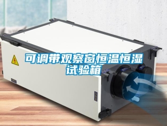 知識百科可調(diào)帶觀察窗恒溫恒濕試驗箱