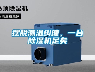 常見問題擺脫潮濕糾纏，一臺除濕機足矣