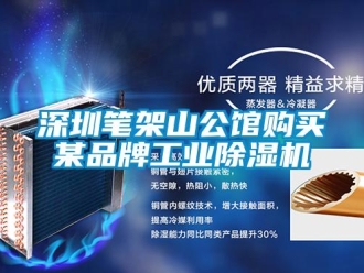 知識(shí)百科深圳筆架山公館購(gòu)買某品牌工業(yè)除濕機(jī)