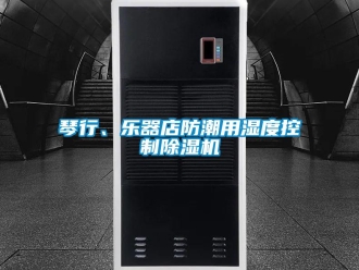 行業(yè)新聞琴行、樂器店防潮用濕度控制除濕機(jī)