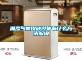 企業(yè)新聞潮濕氣候皮膚過敏有什么方法解決