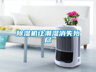 企業(yè)新聞除濕機(jī)讓潮濕消失殆盡