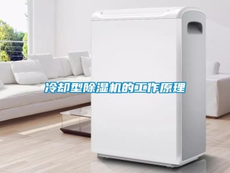 行業(yè)新聞冷卻型除濕機的工作原理