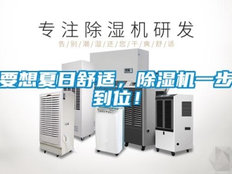 知識(shí)百科要想夏日舒適，除濕機(jī)一步到位！