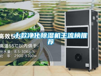 行業(yè)新聞十款凈化除濕機主流榜推薦