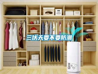 行業(yè)新聞三伏天要不要防潮