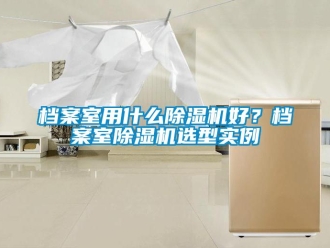 企業(yè)新聞檔案室用什么除濕機(jī)好？檔案室除濕機(jī)選型實(shí)例