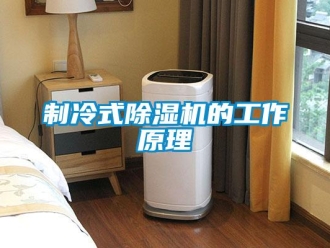 行業(yè)新聞制冷式除濕機(jī)的工作原理