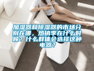 行業(yè)新聞加濕器和除濕器的市場分別在哪，熱銷季在什么時候？什么群體會選擇這種電器？