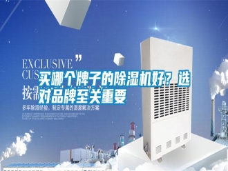 行業(yè)新聞買哪個牌子的除濕機好？選對品牌至關(guān)重要