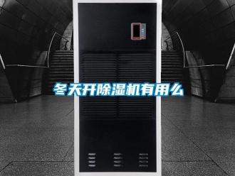 行業(yè)新聞冬天開除濕機有用么