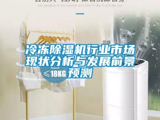 行業(yè)新聞冷凍除濕機(jī)行業(yè)市場現(xiàn)狀分析與發(fā)展前景預(yù)測