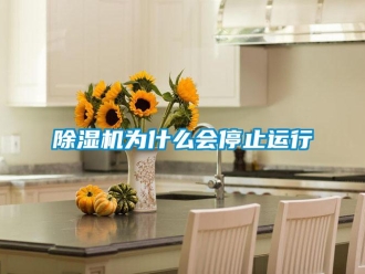 企業(yè)新聞除濕機(jī)為什么會(huì)停止運(yùn)行