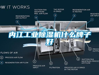 常見問題內(nèi)江工業(yè)除濕機(jī)什么牌子好