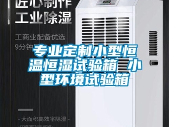 知識百科專業(yè)定制小型恒溫恒濕試驗箱 小型環(huán)境試驗箱