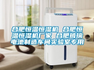知識百科合肥恒溫恒濕機(jī) 合肥恒溫恒濕機(jī)廠家 合肥玻璃電池制造車間實(shí)驗(yàn)室專用