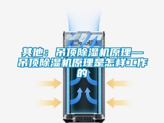 行業(yè)新聞其他：吊頂除濕機(jī)原理—吊頂除濕機(jī)原理是怎樣工作的