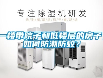 常見問題一樓帶院子和低樓層的房子，如何防潮防蚊？