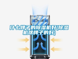 行業(yè)新聞什么牌子的除濕機好(除濕機啥牌子的好)