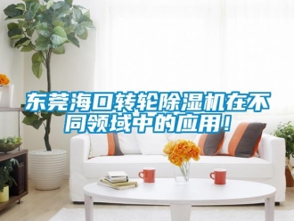 常見(jiàn)問(wèn)題東莞海口轉(zhuǎn)輪除濕機(jī)在不同領(lǐng)域中的應(yīng)用！