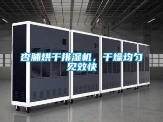 知識百科杏脯烘干排濕機(jī)，干燥均勻見效快
