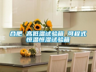 知識百科合肥 高低溫試驗(yàn)箱 可程式恒溫恒濕試驗(yàn)箱
