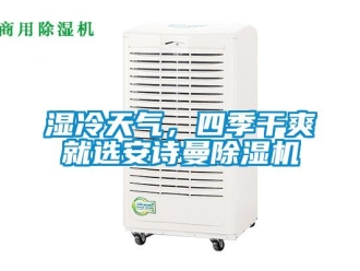 企業(yè)新聞濕冷天氣，四季干爽就選安詩曼除濕機
