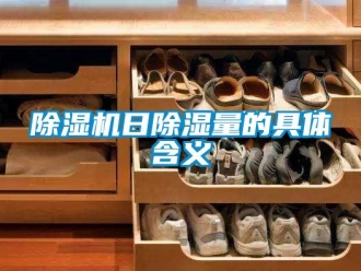 企業(yè)新聞除濕機日除濕量的具體含義