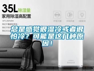 知識百科總是感覺很濕冷或者很怕冷？可能是這幾種原因！