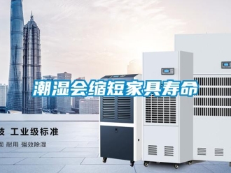 企業(yè)新聞潮濕會縮短家具壽命