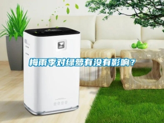 行業(yè)新聞梅雨季對綠蘿有沒有影響？