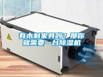常見問題有木制家具嗎？那你就需要一臺除濕機