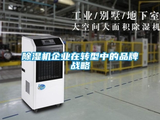 企業(yè)新聞除濕機企業(yè)在轉(zhuǎn)型中的品牌戰(zhàn)略