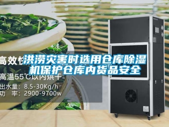 行業(yè)新聞洪澇災害時選用倉庫除濕機保護倉庫內貨品安全