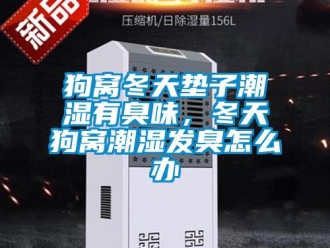 常見問題狗窩冬天墊子潮濕有臭味，冬天狗窩潮濕發(fā)臭怎么辦