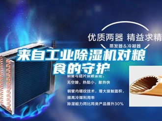 行業(yè)新聞來自工業(yè)除濕機(jī)對糧食的守護(hù)